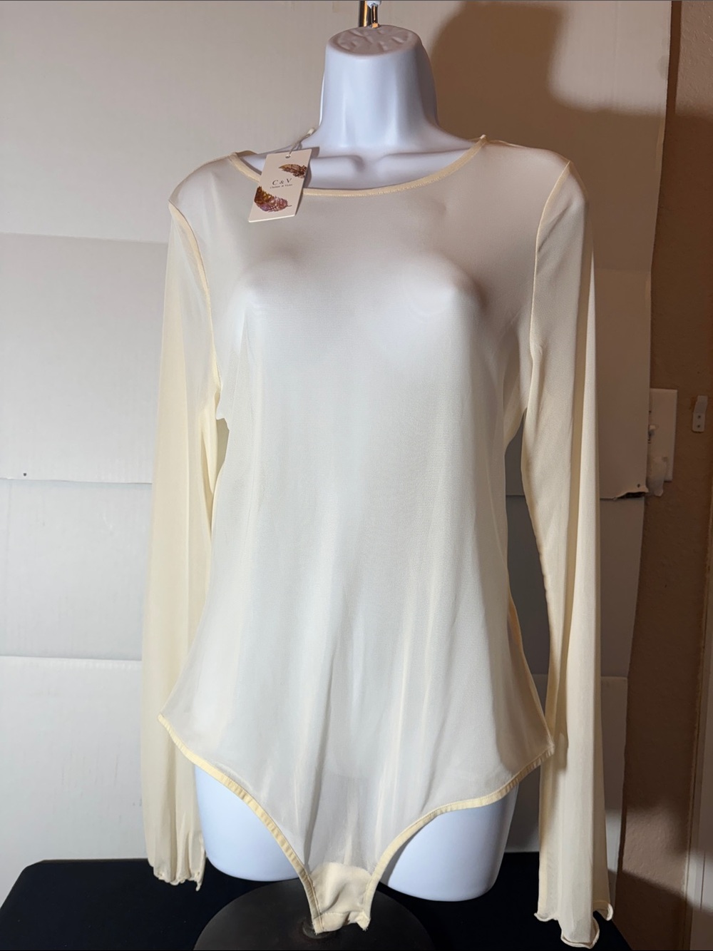 Chelsea & Violet Sheer Long-Sleeve Bodysuit in Cream
